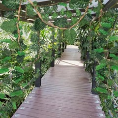 Suncalla 2 PCS 10ft Jungle Party Decorations, Ivy, Tropical Vines