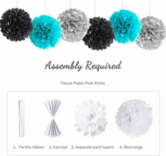 Black Teal Blue and Silver Happy Birthday Party Decorations Turquoise Aqua Ballo