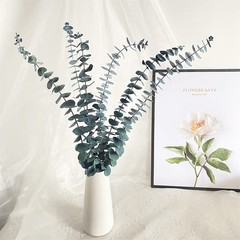 Eucalyptus for Shower 10 Pcs Hanging Dried 10 Pack Bundle
