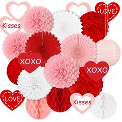 Red Pink Valentine Party Decoration Paper Fan Honeycomb Tissue Pom 22 PCS