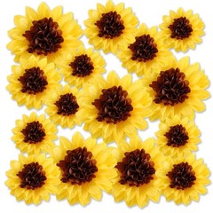 Daisy Tissue Paper Pom Poms, 15 Pack Yellow Flowers Wall Hanging Paper Flower…