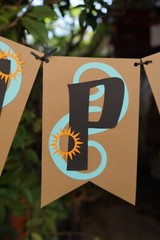 Disney Moana Party Banner