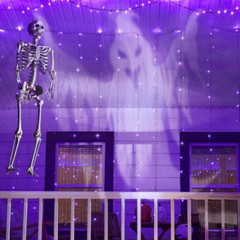 5 ft 5 in LED Eyes Poseable Human Size Skeleton Skull Halloween Decoration Prop