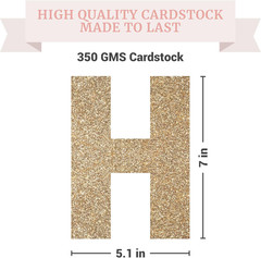 Pre-Strung Happy Birthday Banner – No DIY – Gold Glitter Birthday Party Banner f