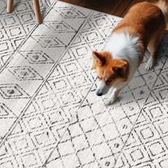 BYYVOO 2×3 Entryway Rug Washable – Moroccan 2′ x 3′ (Rectangular), Geo Grey