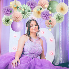 Sage Green and Purple Party Decorations Baby Shower Girl Decorations Sage Green