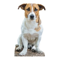Jack Russell Terrier Royal Dog Cardboard Cutout Coronation Standee Standup