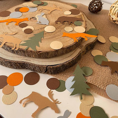 100PCS Woodland Confetti, Forest Animals Party Decor, Woodland Baby Shower, Boy