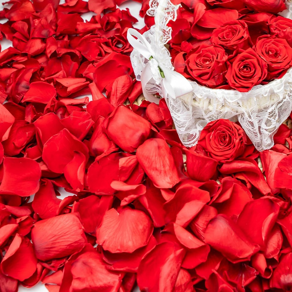 340 PCS Real Red Rose Petals, 3.17oz Dried Flower Confetti Petals for Wedding…
