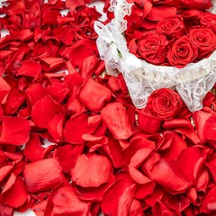 340 PCS Real Red Rose Petals, 3.17oz Dried Flower Confetti Petals for Wedding…