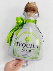 6Pcs Tequila Balloons/Tequila Party Decorations/Green Bow Lime Margarita Ball…