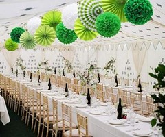 Green Hanging Paper Party Decorations, Round Paper Fans Set Paper Pom Poms Fl…