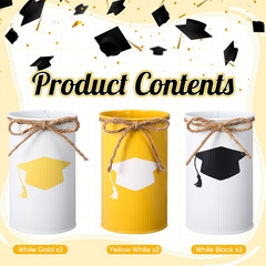 12 Pcs 2025 Graduation Table Centerpiece Decor Grad Galvanized Metal Vases for F