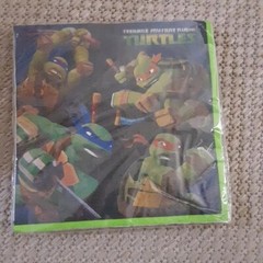 Teenage Mutant Ninja Turtles TMNT Party Pack Birthday Banner Invites Napkins Bag