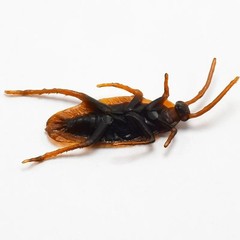 Fake Plastic Cockroaches Prank Toys Halloween Joke Bugs Party Decoration Props