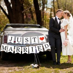 Just Married Wedding Banner Romantic Party Hanging Flag Decoration for Bridal