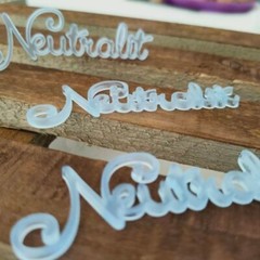 Personalized Wedding Place Cards Acrylic Table Name Calligraphy Wedding Any Font