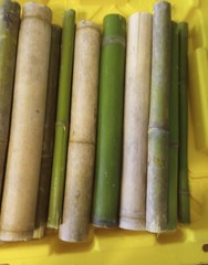 10 Bamboo 12″ Poles Variety Sizes Tiki Luau Home Art Decorations Rough Cut 1′