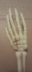 1pcs Skeleton Hands Decor cosplay Funny Halloween Skull Arm Hands free ship