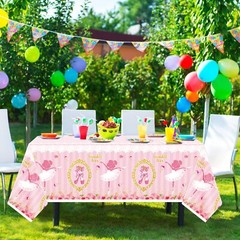 3 Pack Plastic Ballerina Tablecloth Birthday Party Supplies for Rectangle Table