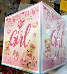 Bear Gender Reveal Balloon Boxes Decorations – 1ooPcs Pink Blue Balloons + MORE