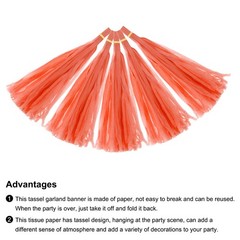 25Pcs Orange Tassel Garland Banner with Rope