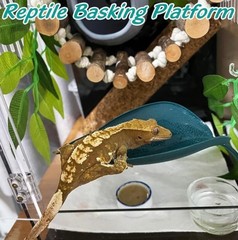 Turtle Reptile Basking Platforms 3PCS Leaf Shape for Aquariums with Suction Cups