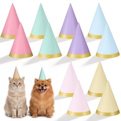 12PCS Pastel Party Hats, Colorful Cone Hats Gold-Stamped Party Hat with Elast…