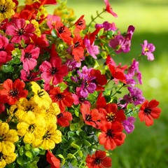 20 Pcs Artificial Flowers for Outdoors Fake 20 Pcs, Pink Red Purple Yellow