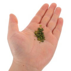 5 Bags/180ml Miniature Landscaping Landscape Accessories Simulation Leaf