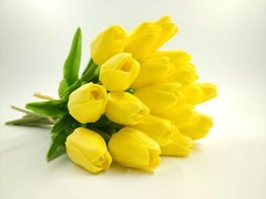 US 10pcs Real Touch Tulip Home Picnic Atmosphere Decoration Outdoor Gardening