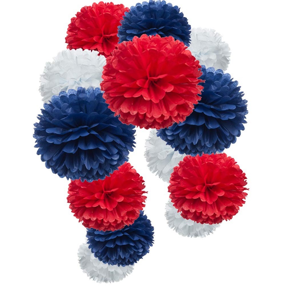 Party Tissue Pom Poms, 12pc Bulk Set, Event Backdrop Decorations, Multicolor