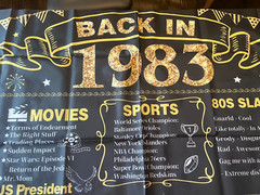 Back in 1983 Birthday Party Backdrop – Wall Hanging – Popular items of 1983