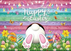 7ft x 5ft Fabric Easter Backdrop – Bunny – Photo Prop Party Decoration – New