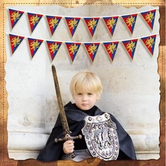 Hahafelt 6 Pcs 72 ft Medieval Fantasy Pennant Banner with Lion Design Medieval P