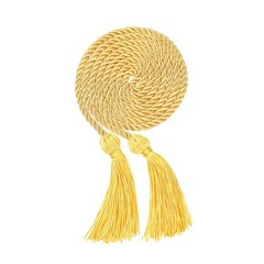Unisex Matte Graduation Cap and Gown with Stole Honor Cords Set for High Scho…