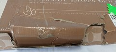 House of Stella Decorative Balloon Arch 6.2ft Backdrop Stand Golden Open Box