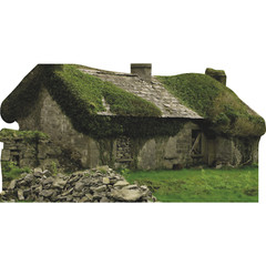 SP13279 Old Abandoned Irish Stone Cottage House Moss Ireland Cardboard Cutout St