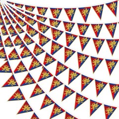 Hahafelt 6 Pcs 72 ft Medieval Fantasy Pennant Banner with Lion Design Medieval P