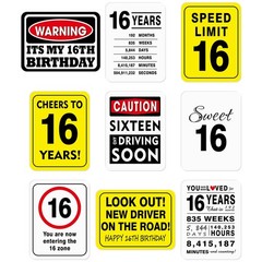 9 PCS 16th Birthday Party Decorations Wall Signs Door Garden Props Teens