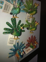 12 Qty Bobble Magnets -Peacock Party Favors Fun 🤩