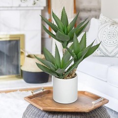 Hollyone Large 16.9 inches tall, 4.3 wide, 4.7 high, Style 3