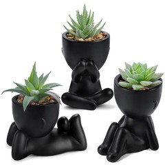 3Pcs Fake Succulents Plants Artificial for Black Bathroom Bedroom Home Decor