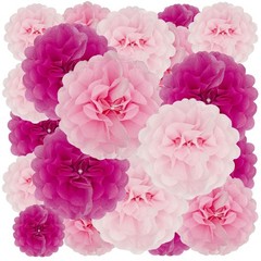 18 PCS Pink Tissue Paper Pom Poms Flowers Hanging Balls 6/10/12/14 Inch