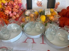 Love at First Spritz Bridal Shower Décor Bundle – Games, Tableware, Decor