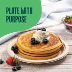 100% Compostable Paper Plates 9 Inch [500 Count] Heavy-Duty Dinner Plates – N…