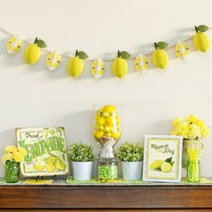 Felt 3D Lemon Garland Wool Felt Lemon Ball Banner Lemonade Birthday Party Dec…
