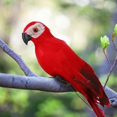 Simulation Feather Macaw Garden Home Decoration Fake Bird
