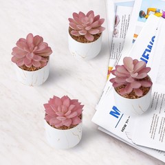 ZENIDA Succulent Artificial Plants,Cute Fake 2.2″ x 2.4″ x 3.3″, White