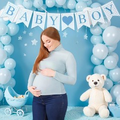 1 Pcs Blue Gingham Baby Boy Banner for Party Decorations Blue Pre Strung Baby…